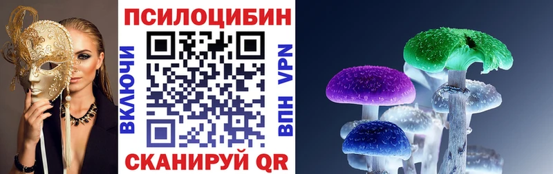 Псилоцибиновые грибы Cubensis  Вяземский 